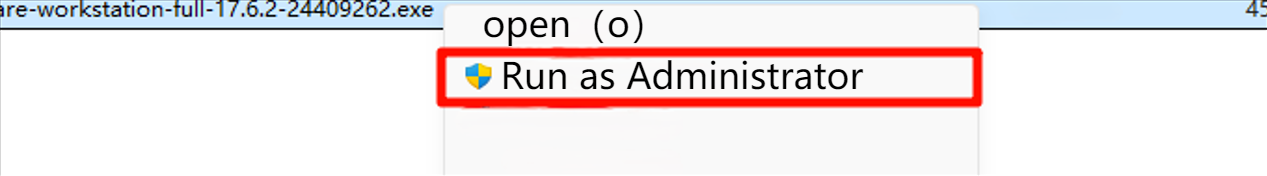 image-20241229134102418