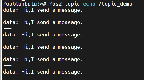 Topic Echo Output
