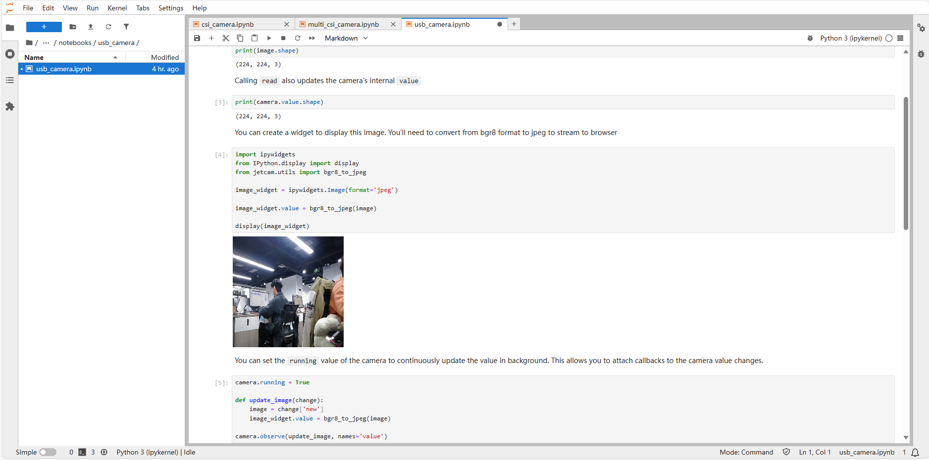 image-20241227193622509