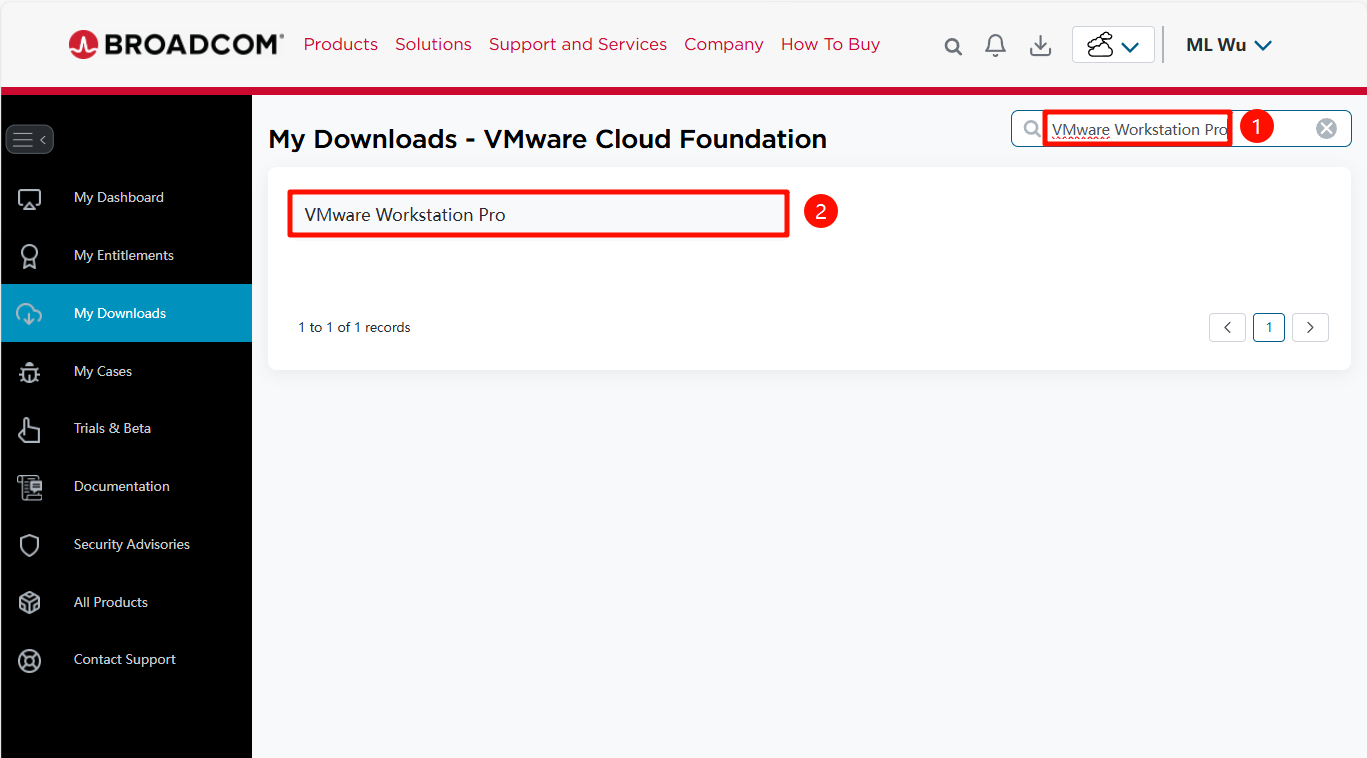 image-20241229130949039