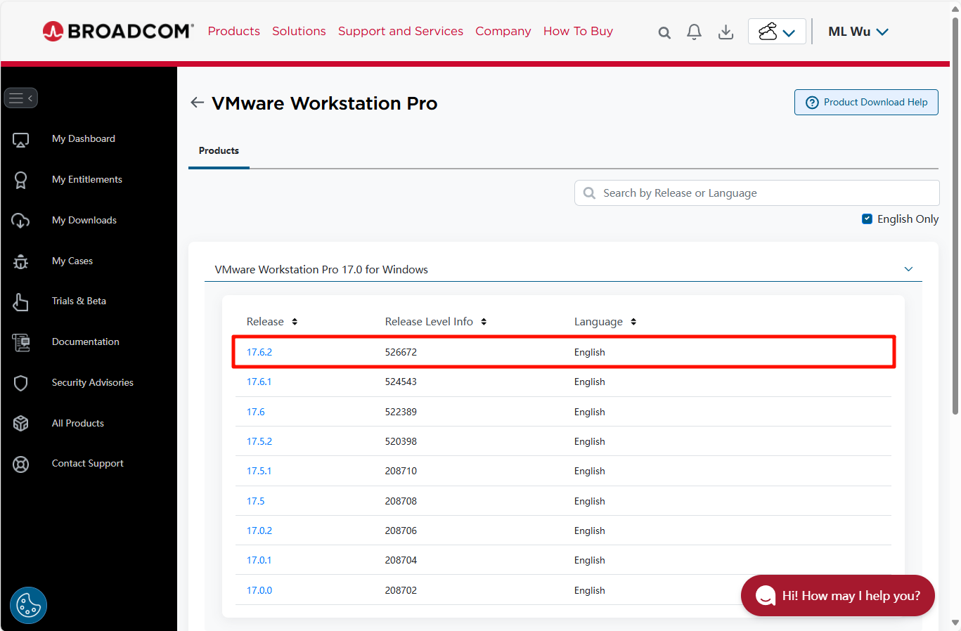 image-20241229131144579